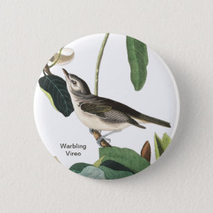 Warbling Vireo John James Audubon Birdwatcher Bird Button