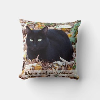 Warm and cozy autumn Throw Cushion 41 x 41 cm