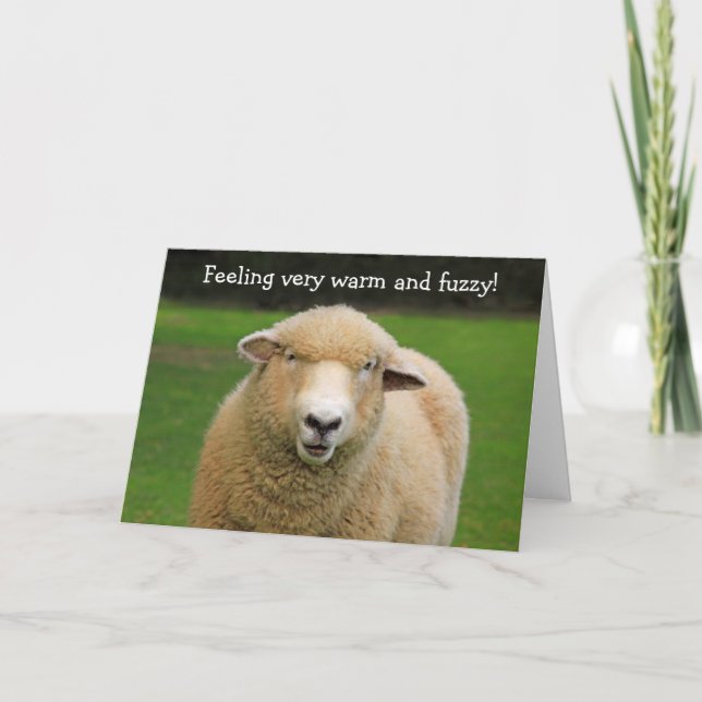 Warm And Fuzzy Sheep Birthday Card (Front)