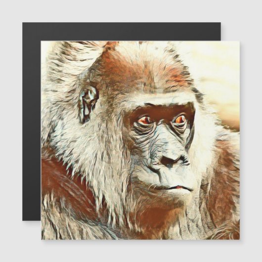 warm colored animal gorilla (Front/Back)