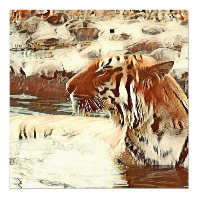 warm colored swimming tiger photo print (Front)