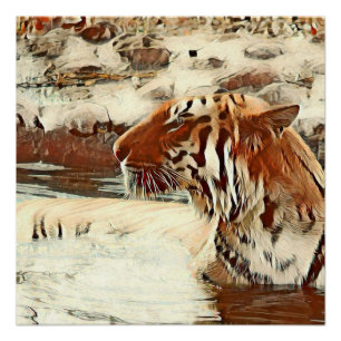 warm colored swimming tiger poster