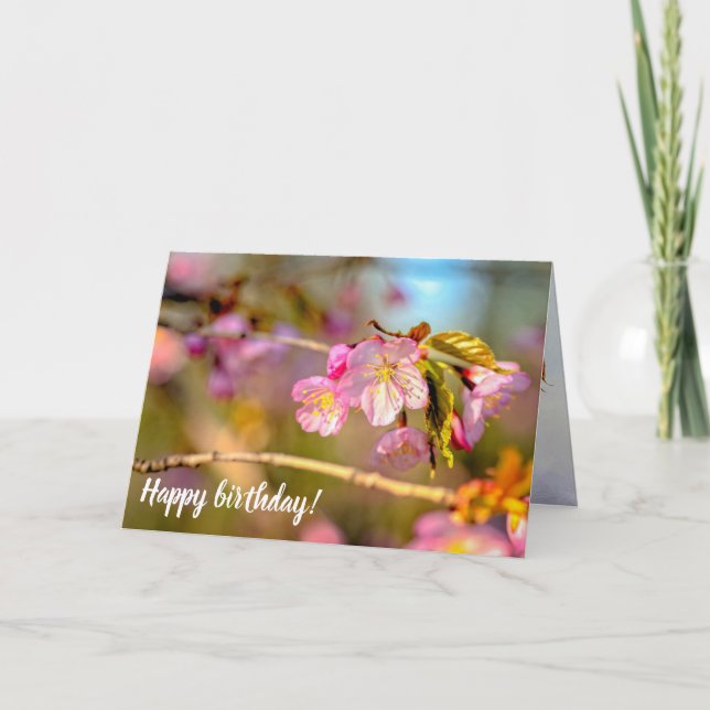 Warm Colors Of Sakura Flowers In Hanami Season Card (Front)
