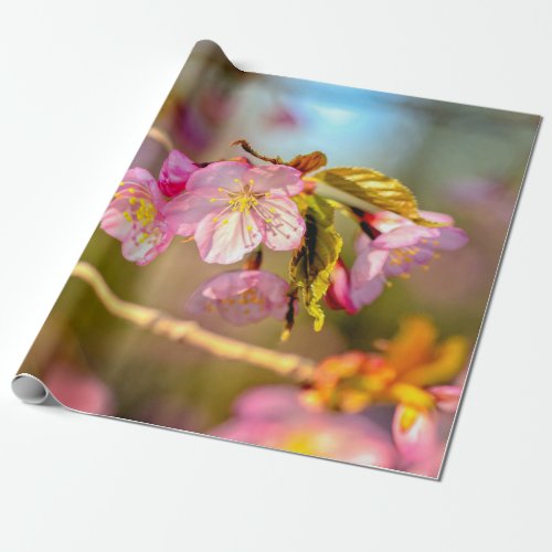 Warm Colors Of Sakura Flowers In Spring Wrapping Paper