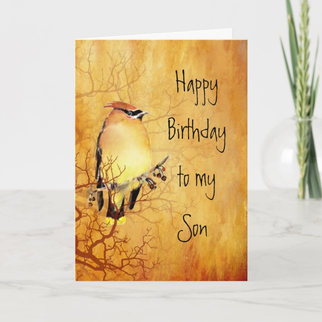 Warm Copper Cedar Waxwing Bird Son Birthday Card (Front)