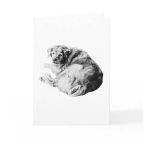 Warm Curl, Open Heart Card