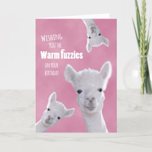 Warm Fuzzies on Your Birthday with Cute Llamas Card