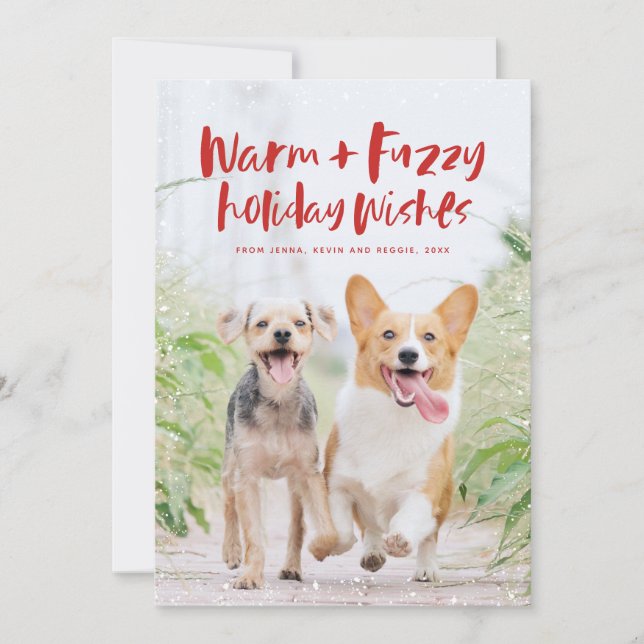 Warm fuzzy holiday wishes fun pet Christmas card (Front)