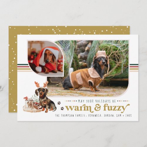 Warm  Fuzzy  Pet Holiday Photo Card