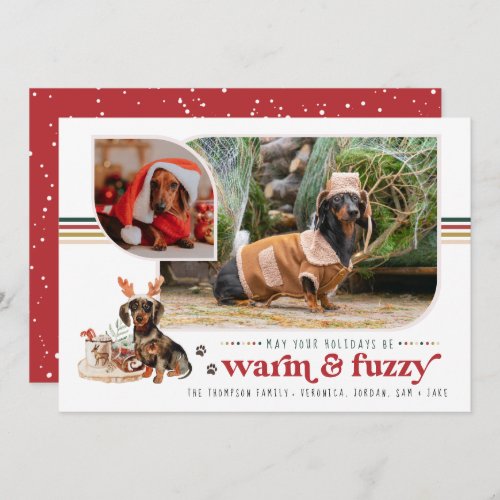 Warm  Fuzzy  Pet Holiday Photo Card