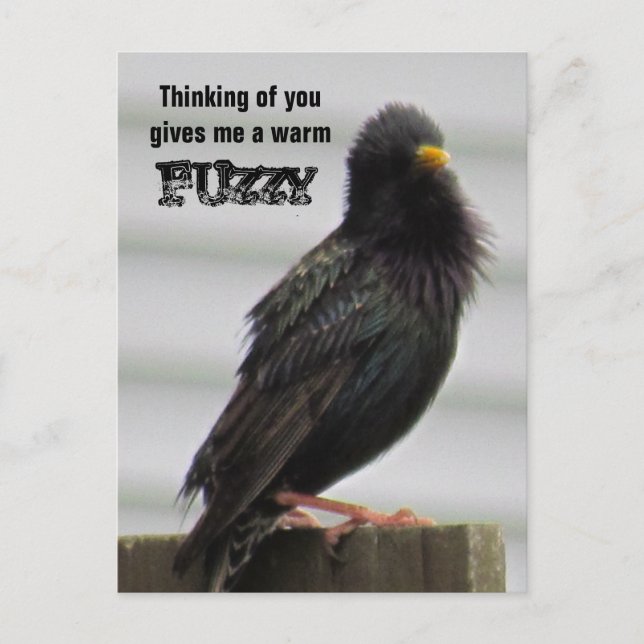 Warm Fuzzy - Thinking of You Postcard (Front)