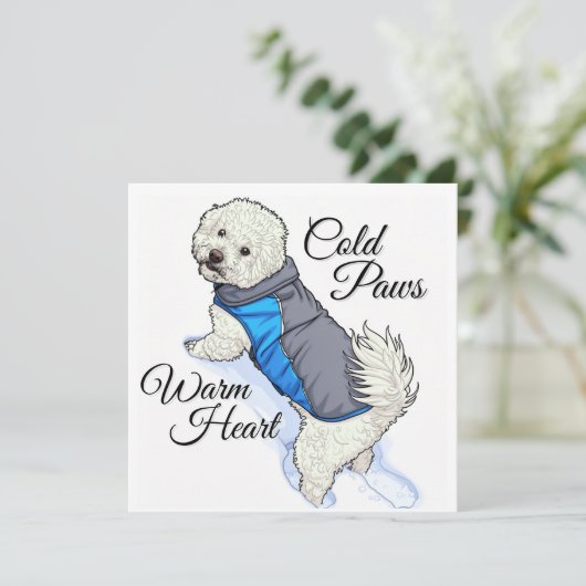 Warm Heart Snow Bichon  (Standing Front)