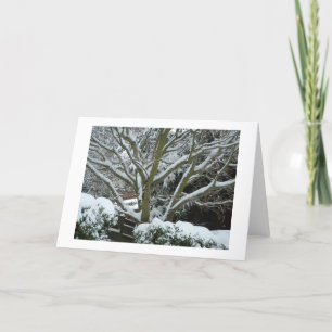 Warm Holiday Wishes Card