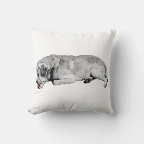 Warm Lick, Warmer Room Throw Pillow