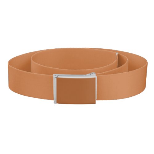 Warm Peach Caramel Solid Color Print Neutral Belt