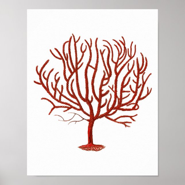 Warm Red Sea Coral no.4 Beach Wall Art Print (Front)