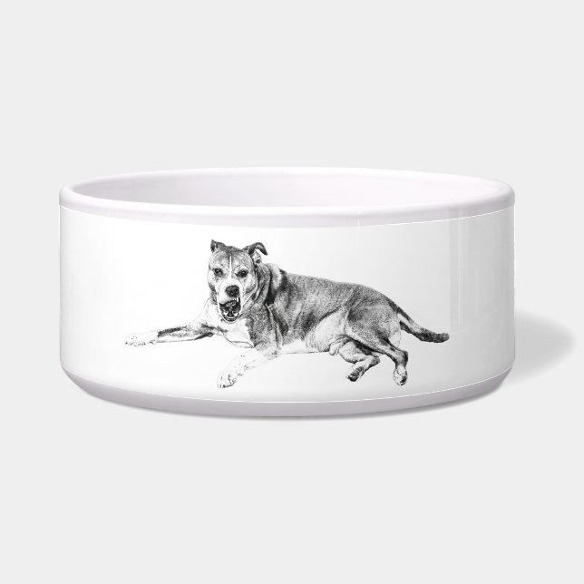Warm Routine, Steady Glance Bowl (Front)