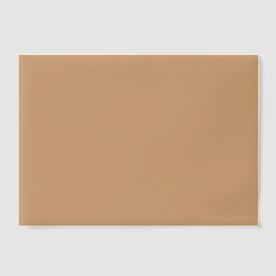 Warm Sand Custom Vellum Overlay Vellum Invitations