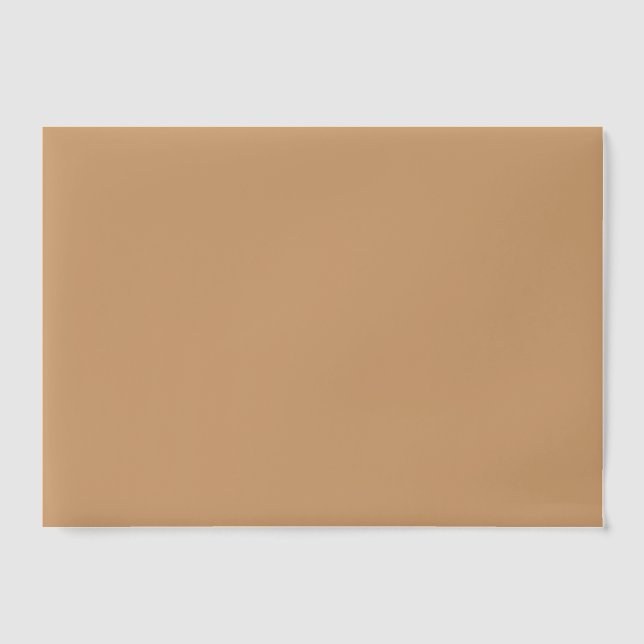 Warm Sand Custom Vellum Overlay Vellum Invitations (Front)