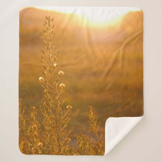 WARM SHOT OF MEADOW GRASS SHERPA BLANKET (Front)