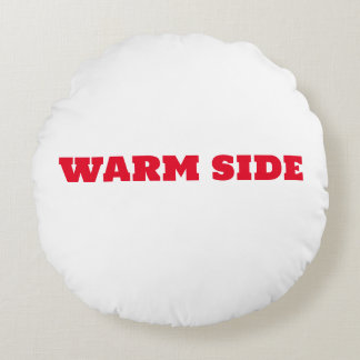 Warm Side Cool Side Reverable Pillow