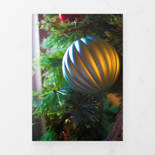 Warm Silver Tri-Fold Announcement (Cover)