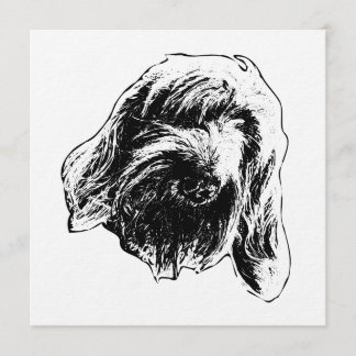 Warm Spinone Gathering Invitation