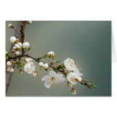 warm spring (Front Horizontal)