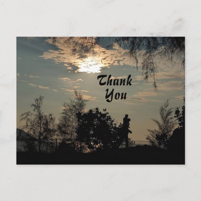 Warm Sunset Scenery Trees Thank You Postcard (Front)