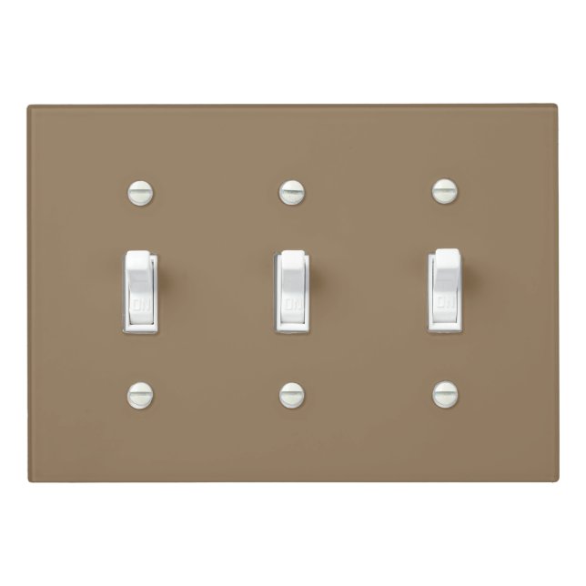 Warm Taupe Light Switch Cover (In Situ)