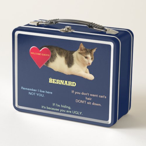 Warm welcome from nice kitty blue metal lunch box