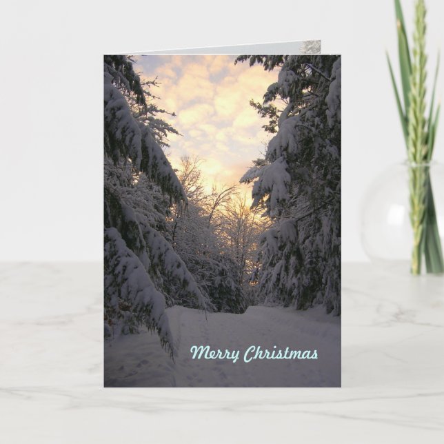 Warm Wishes Christmas Snowfall Cards (Front)