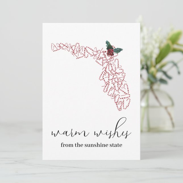 Warm Wishes Florida Photo Christmas Card (Standing Front)