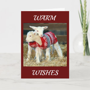 WARM WISHES FROM GOATS WITH SWEATERS AT CHRISTMAS CARD