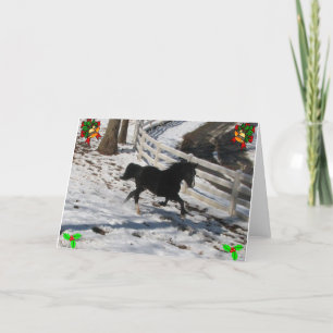 Warm Wishes Holiday Card