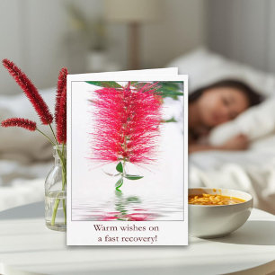 Warm Wishes On A Fast Recovery Red Bottlebrush  Card