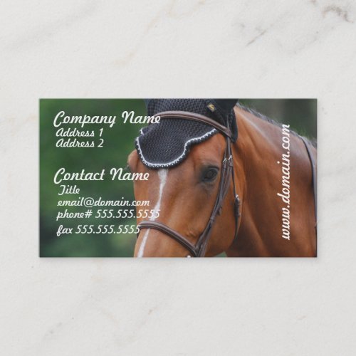 Warmblood Horse Business Card