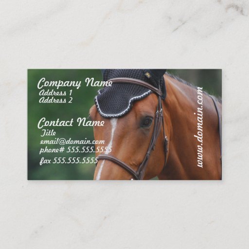 Customizable Warmblood Horse Business Card