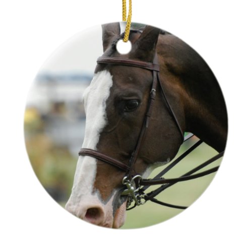 Warmblood Horse Photo Ornament