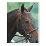 Warmblood Horse Temporary Tattoos