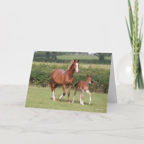 Warmblood Mare and Foal Walking Together Card