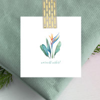 Warmest Wishes Bird of Paradise Mini