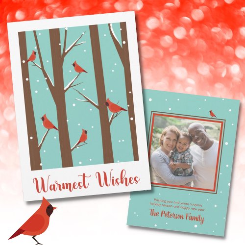 Warmest Wishes Birds Snow Red Photo Holiday Card