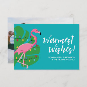 Warmest Wishes Holiday Flamingo blue Custom Photo Card