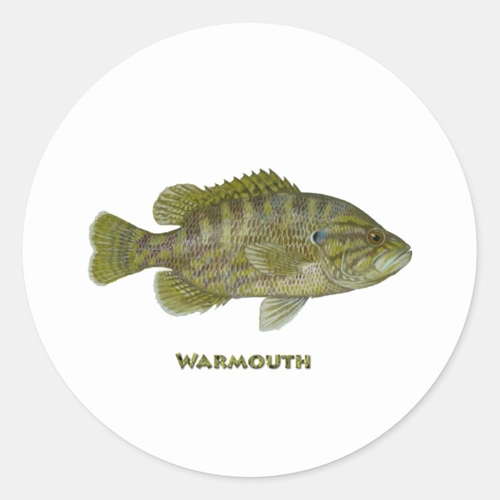 Warmouth Bass Stickers