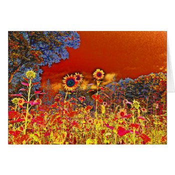 Warmth by DesireeGriffiths at Zazzle
