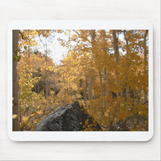 Warmth of Autumn Mouse Pad