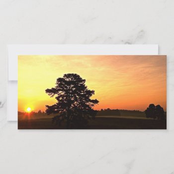 "warmth" Sunrise Panoramic by DesireeGriffiths at Zazzle
