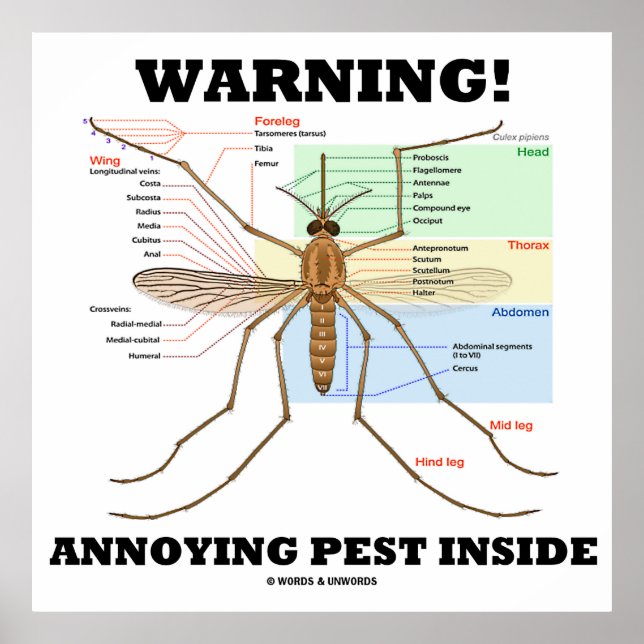 Warning! Annoying Pest Inside (Mosquito Anatomy) Poster (Front)