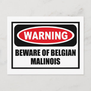 Warning BEWARE OF BELGIAN MALINOIS Postcard